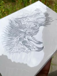 Image 2 of original drawing • marsh harrier