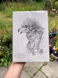 Image 1 of original drawing • marsh harrier