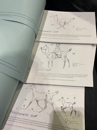 Image 2 of artbook • phylogenetic soup 2