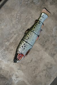 Image 1 of Immortal Trout 7.7 “One off”