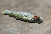 Image 3 of Immortal Trout 7.7 “One off”