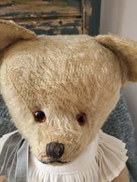 Image 7 of Large Vintage Mohair Bear named  "Gwen"  circa 1930's