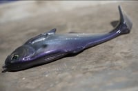 Image 2 of WCZ Battles Shad 7.5 “Purple Gizzard”