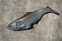 Image 1 of WCZ Battles Shad 9.0 “Natural Gizzard”