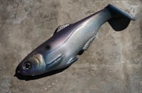 Image 3 of WCZ Battles Shad 9.0 “Purple Gizzard”