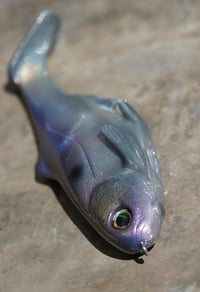 Image 4 of WCZ Battles Shad 9.0 “Purple Gizzard”