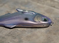 Image 2 of WCZ Battles Shad 9.0 “Purple Gizzard”