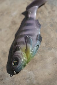 Image 4 of WCZ Heckler 6 “Sugar”