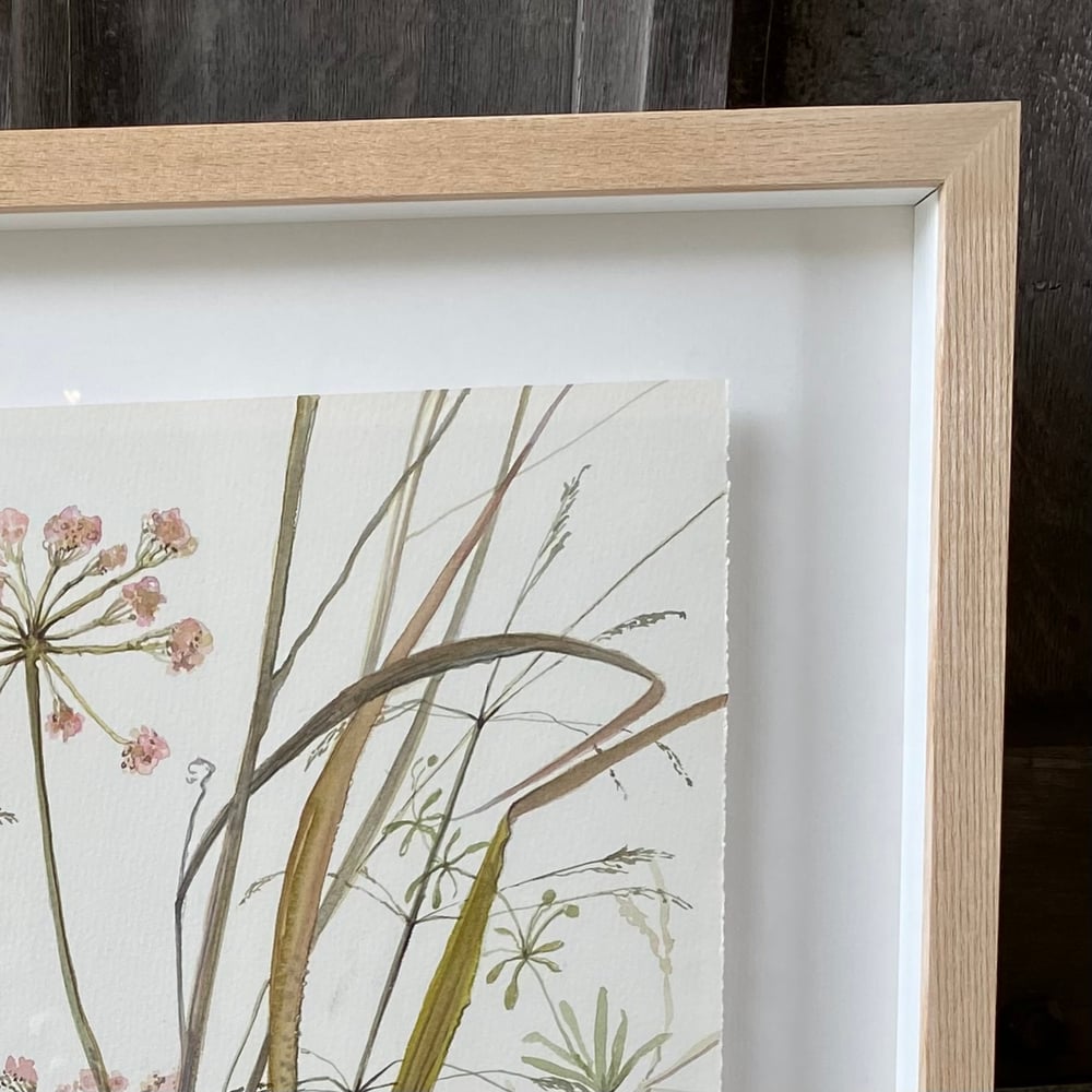 Image of Linaria and Poppyseed Heads