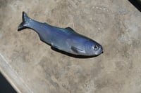 Image 4 of WCZ Tyrant 8 “Kokanee”