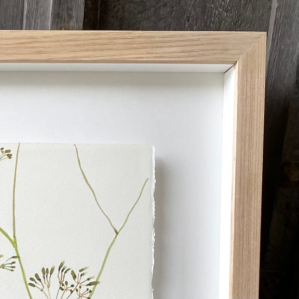 Image of Teasel and Grasses