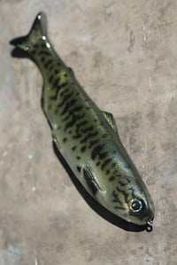 Image 1 of WCZ Tyrant 8 “Bass”