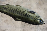 Image 2 of WCZ Tyrant 8 “Bass”