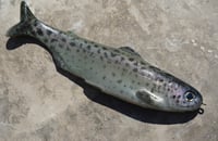 Image 4 of WCZ Tyrant 8 “Cryptic Trout”