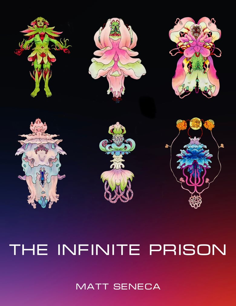 Image of THE INFINITE PRISON