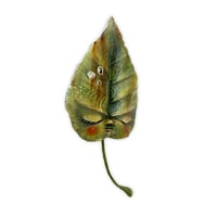 Image 2 of Leafling (Rowan)