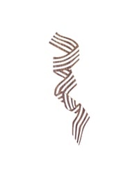 Image 1 of Classic Wave Ribbon Print in Walnut