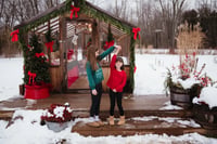 Image 2 of Christmas @ Wildhood Acres Greenhouse