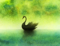 Image 21 of Out of Print Cards
