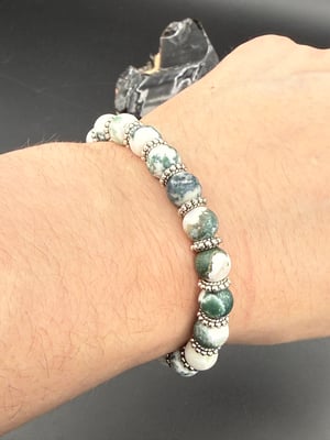 8mm Matte Tree Agate Stretch Bracelet