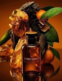 Image 1 of LV Amber Levant 