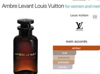 Image 2 of LV Amber Levant 