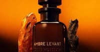 Image 3 of LV Amber Levant 