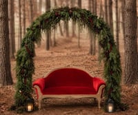 Image 2 of Christmas Arch (outdoors)