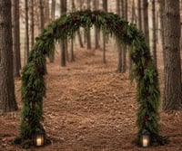 Image 1 of Christmas Arch (outdoors)