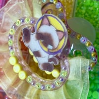 Image 4 of Chronic Cat Adult Pacifier