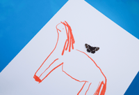 Image 3 of Little Horse • A3 Print