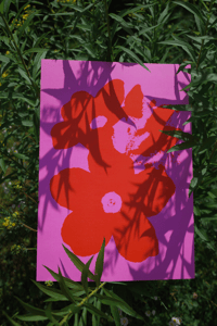 Image 5 of Red Bloom • A3 Print