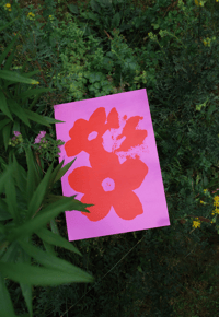 Image 4 of Red Bloom • A3 Print