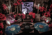 Image 3 of  RECORD RELEASE SHOW BOX SET 