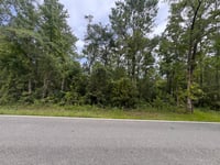 Image 1 of Agricultural Zoned Land for Sale-Pearlington