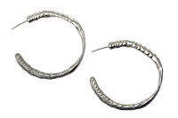 Image 1 of Cuttlefish Hoops