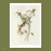 microscopic dragon - limited edition print A3
