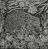 Image 2 of Wee Print- Hedgehog