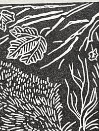 Image 4 of Wee Print- Hedgehog