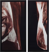 Fragment #2, by Matt Saunders