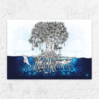 Image 1 of Limited Edition Fine Art Print | Mangrove Illustration | Award Winner 