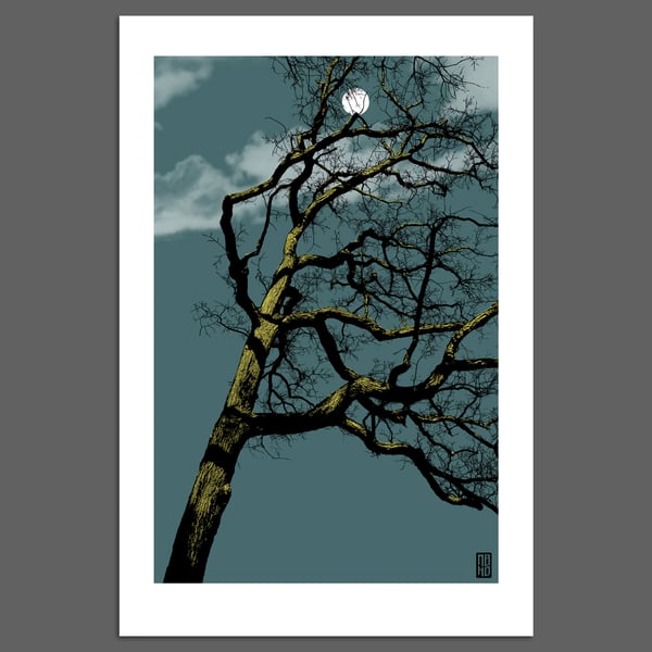Image of Oak & Clouds