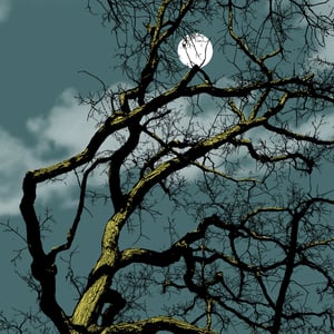 Image of Oak & Clouds