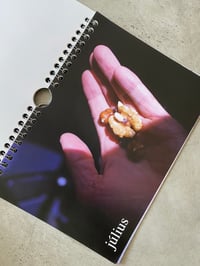 Image 2 of PINGO #13: hungarian wall calendar