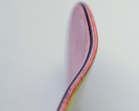 Image 4 of parrot