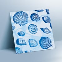 Image 1 of Limited Edition Fine Art Print | Sea Shells 