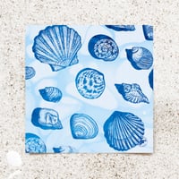 Image 2 of Limited Edition Fine Art Print | Sea Shells 