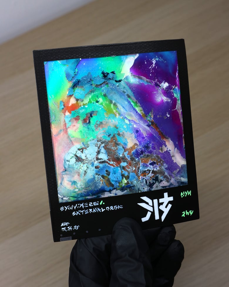 Image of HOLOGRAPHIC Polaroid "EXUVIAE"