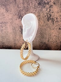 Rolx hoops gold laminated 