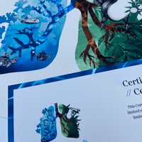 Image 2 of Limited Edition Fine Art Print |  Breath of Life - Blue and Green Lung